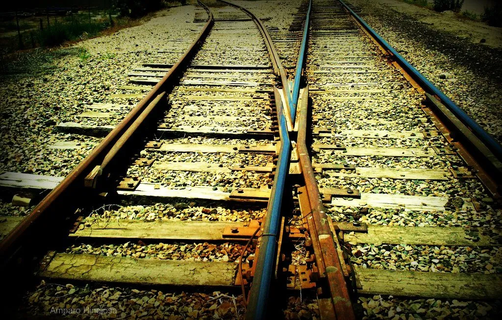 Which path will make you happy?